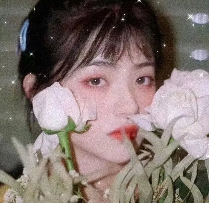 侠女传奇